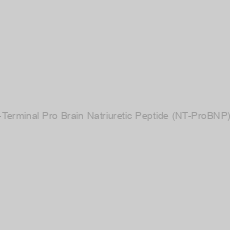 Image of Porcine N-Terminal Pro Brain Natriuretic Peptide (NT-ProBNP) ELISA Kit
